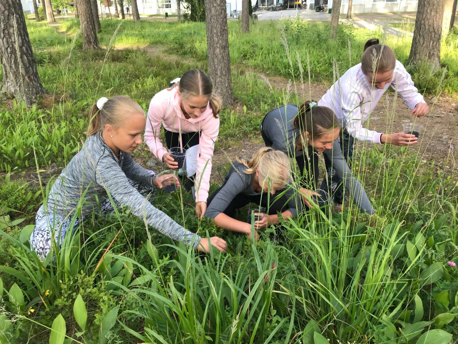 PSST! Vierumäen metsäinen maasto on vuosien mittaan tarjonnut mahdollisuuksia vaikka minkälaisiin seikkailuihin. Viime kesän leiriläisiä mustikassa.